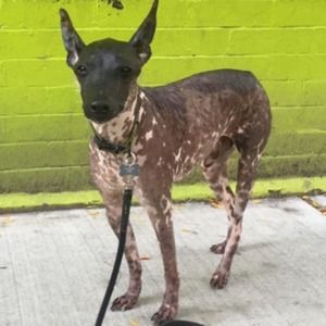 Meet your Posher, Lena